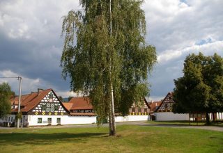 Prázdninový zumba týden v penzionu Manský dvůr, Dolní Žandov